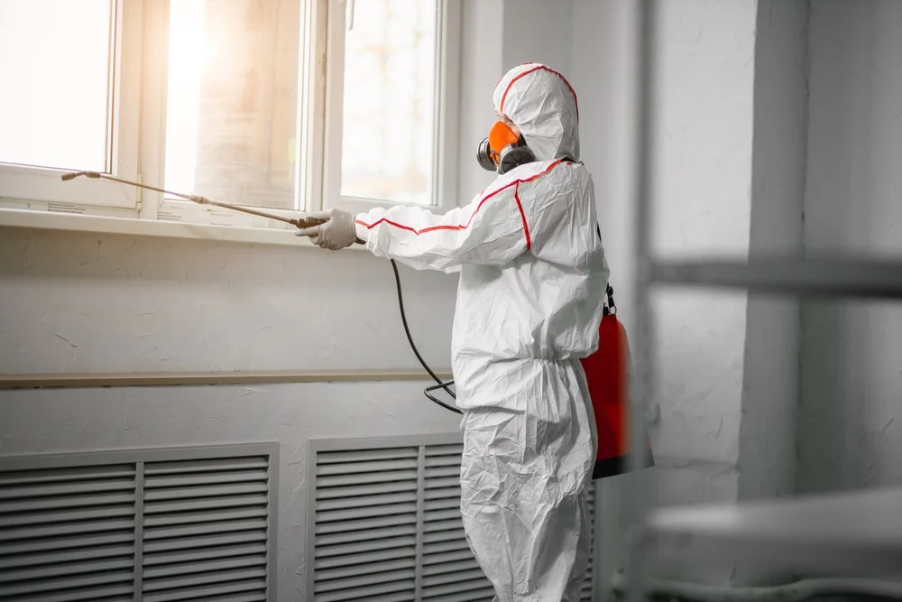 Professional mold remediation services in Lynnville, IA